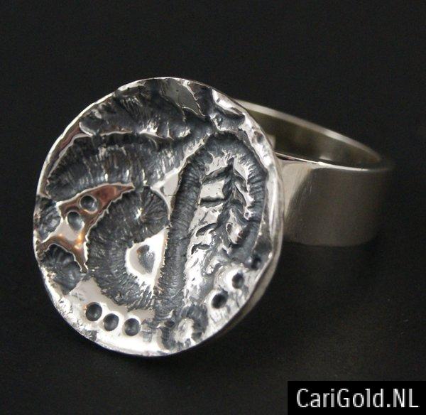CariGold_nl_ring_sterling_zilver_DR014A